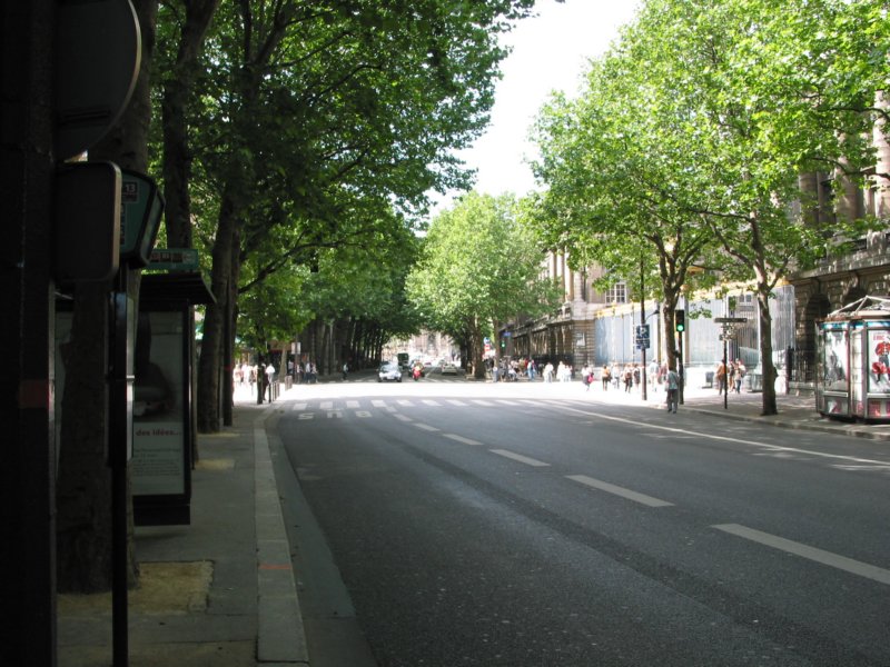 streetsofparis.jpg