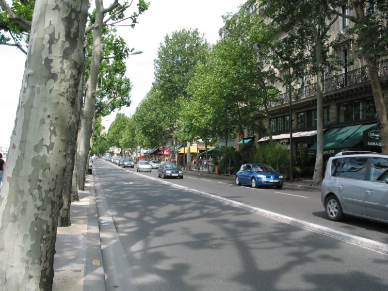 streetsofparis3.jpg