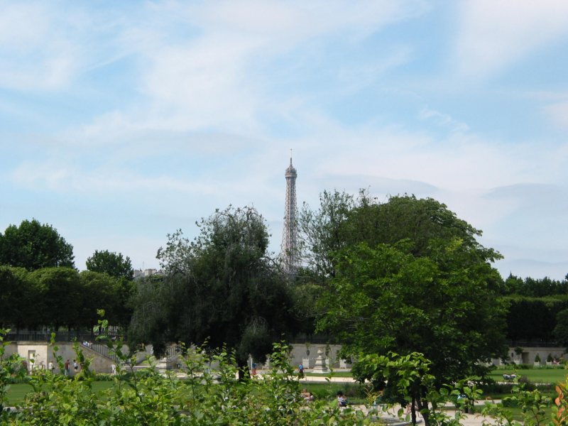 viewofparis13.jpg